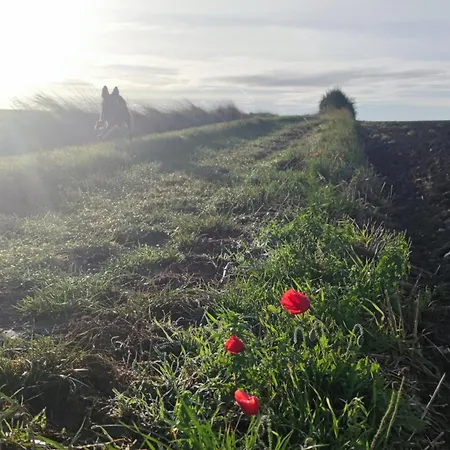 De Groupe, Proche De La Baie De Somme